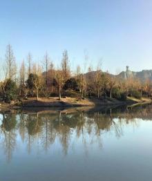 锦屏公园9