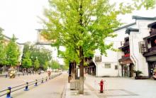 北门街历史文化街区4