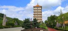 大觉寺22