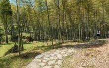 泽雅风景名胜区（西雁荡）4