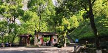 红灯笼乡村家园17