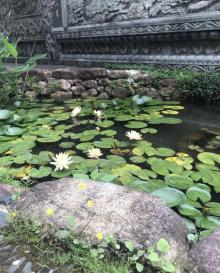 禅源寺13