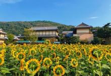 拈花湾景区-无门关5