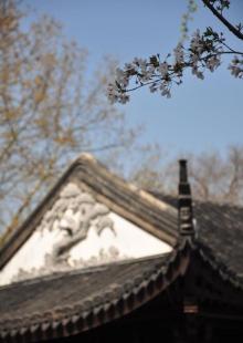 东园9