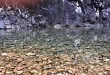 龙麒源2