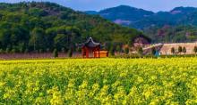 花园村景区1