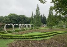 城市生态森林公园10