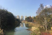 城市生态森林公园25