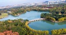 城市生态森林公园21
