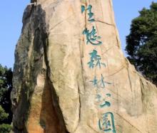 城市生态森林公园20