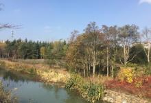 城市生态森林公园22