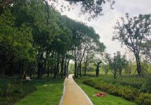 城市生态森林公园13