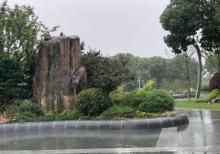 城市生态森林公园11