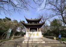 东坡公园2