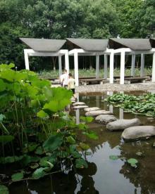 鸡鸣山公园-凤翔阁5