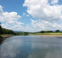 九龙国家湿地公园4