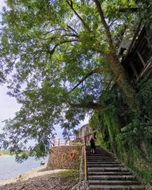 丽水莲都大港头3
