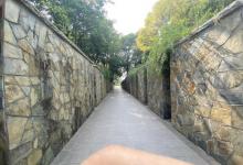 黄山湖公园5