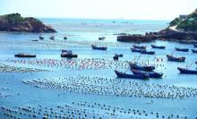海上牧场8