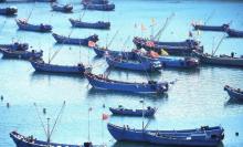 海上牧场3