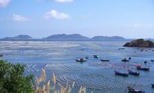海上牧场4