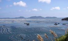 海上牧场5