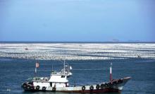 海上牧场7
