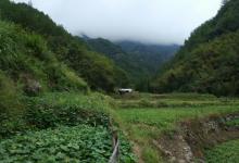 公盂景区12
