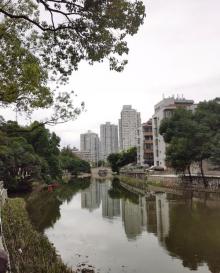 中山公园15