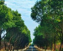 溧阳1号公路（北区）16