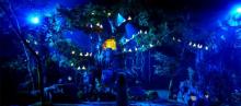 《寻仙记》大型沉浸式森林夜游实景演出2