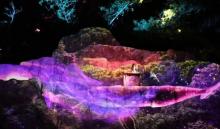 《寻仙记》大型沉浸式森林夜游实景演出5