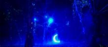 《寻仙记》大型沉浸式森林夜游实景演出3