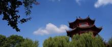 中国扬子鳄村4