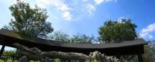 中国扬子鳄村3