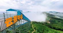 云景牛山5