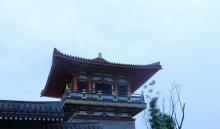 唐城4