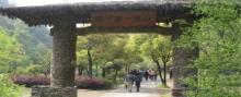 白石湾景区16