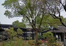 虹饮山房27