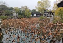 虹饮山房21