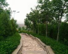 白马山森林公园1