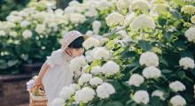 花谷奇缘29