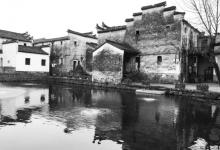 东梓关村8
