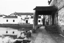 东梓关村7
