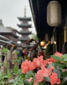 香月花街6