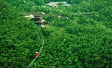 南山竹海地轨3