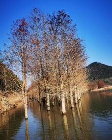 青龙湾生态旅游区15