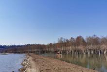 青龙湾生态旅游区17