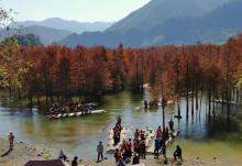 青龙湾生态旅游区6