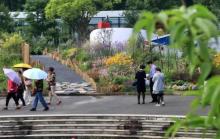 东平森林公园房车露营地12